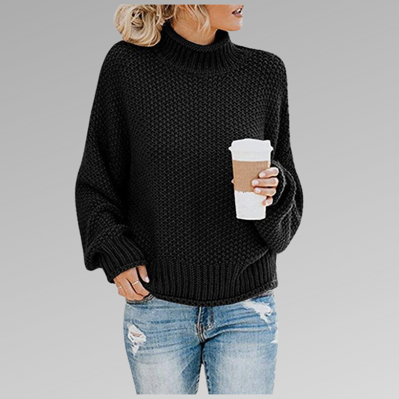 DELAUNAY | Pull Col Roulé Grosse Maille Juliette