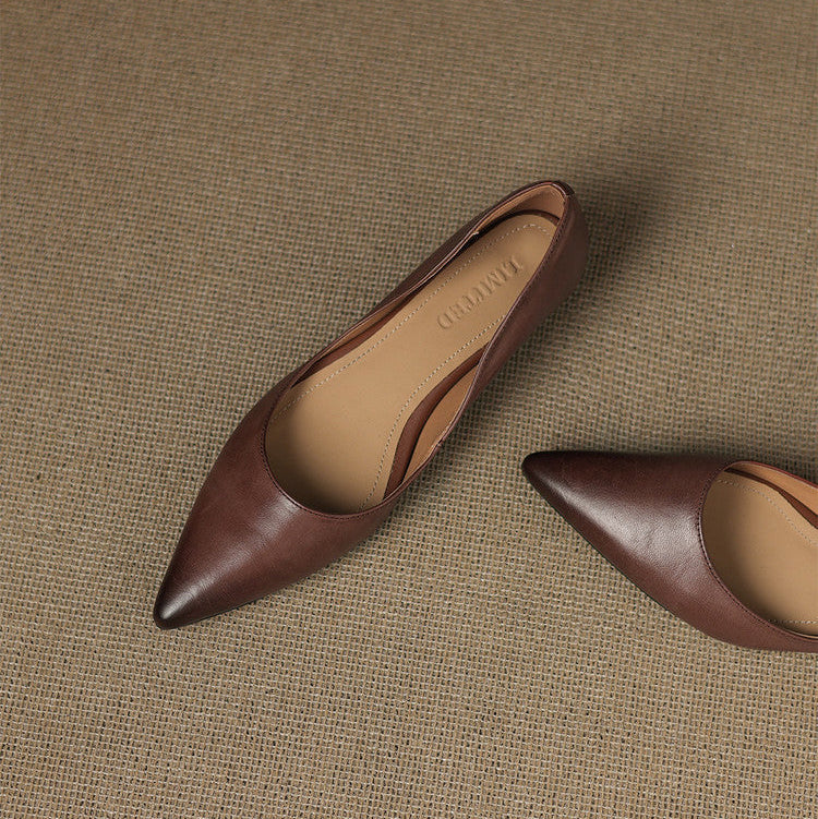 DELAUNAY | Ballerines Pointues en Cuir Marie